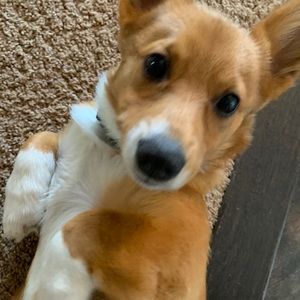 Meet your Posher, Tom